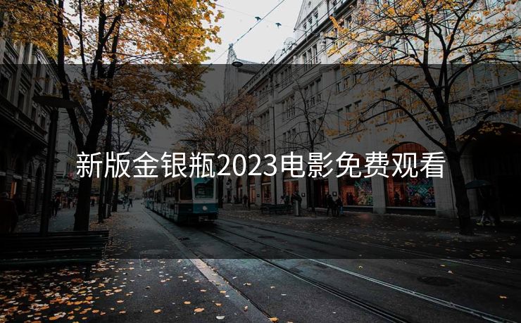 新版金银瓶2023电影免费观看