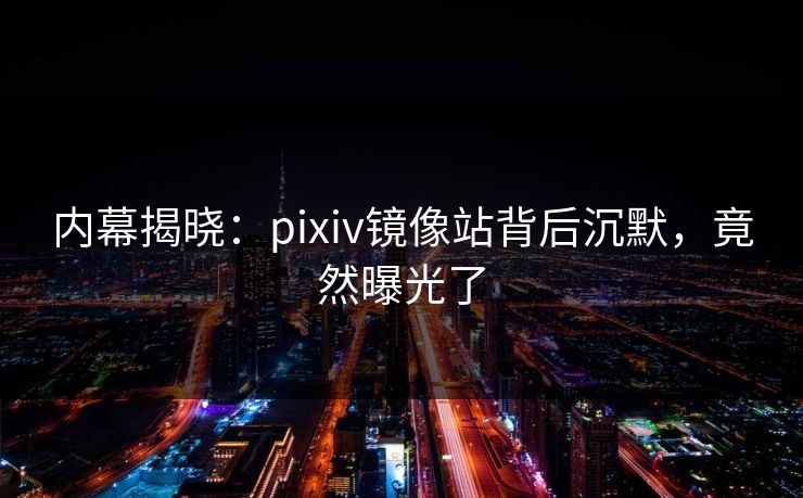 内幕揭晓：pixiv镜像站背后沉默，竟然曝光了