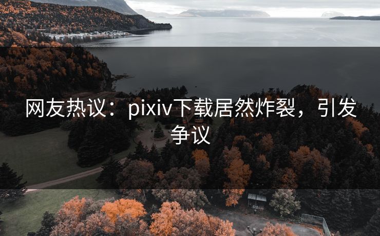 网友热议：pixiv下载居然炸裂，引发争议