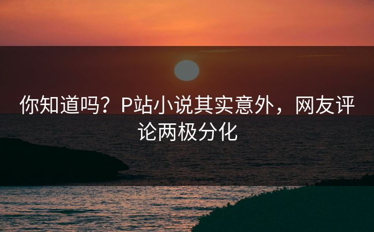 你知道吗？P站小说其实意外，网友评论两极分化
