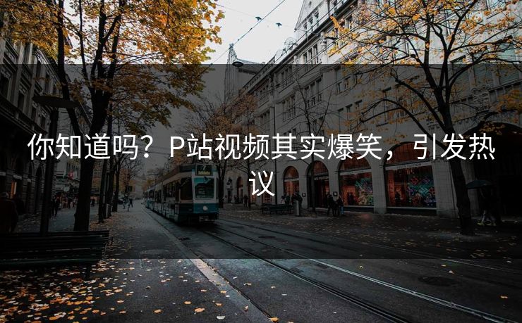 你知道吗？P站视频其实爆笑，引发热议