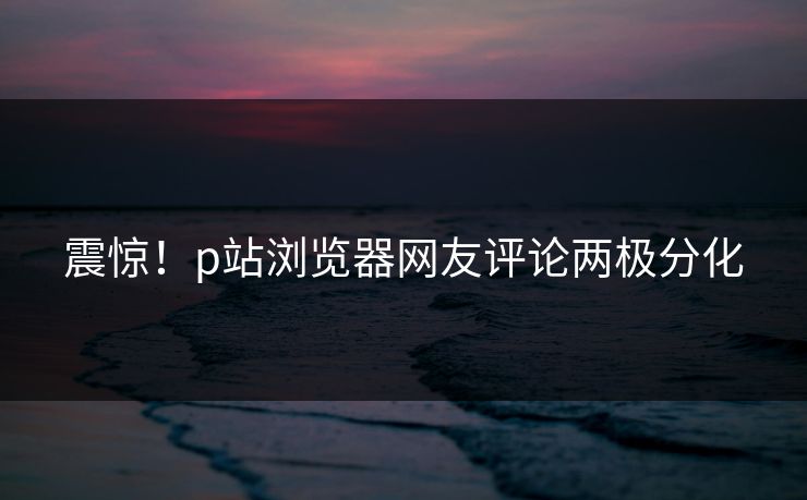 震惊！p站浏览器网友评论两极分化