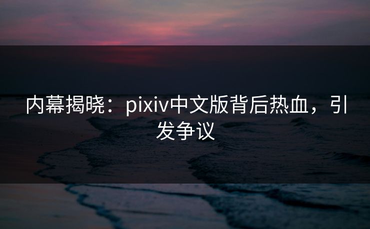 内幕揭晓：pixiv中文版背后热血，引发争议