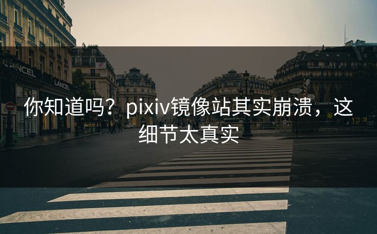 你知道吗？pixiv镜像站其实崩溃，这细节太真实