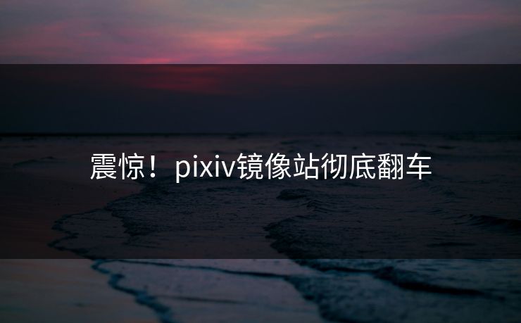 震惊！pixiv镜像站彻底翻车