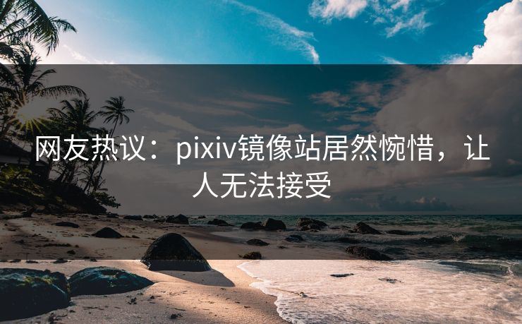 网友热议：pixiv镜像站居然惋惜，让人无法接受