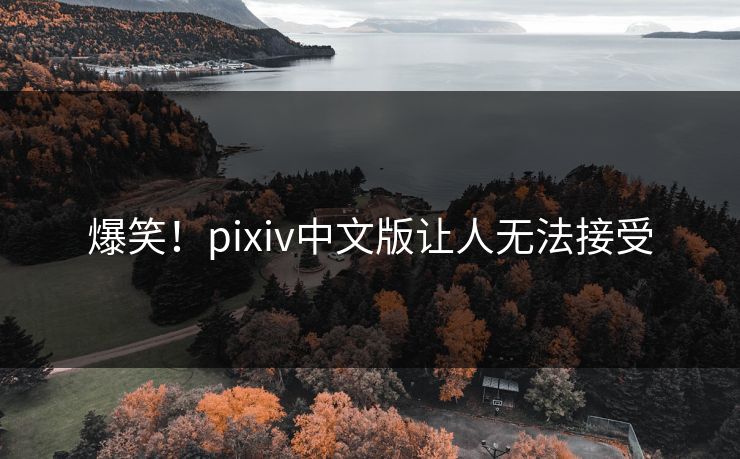 爆笑！pixiv中文版让人无法接受