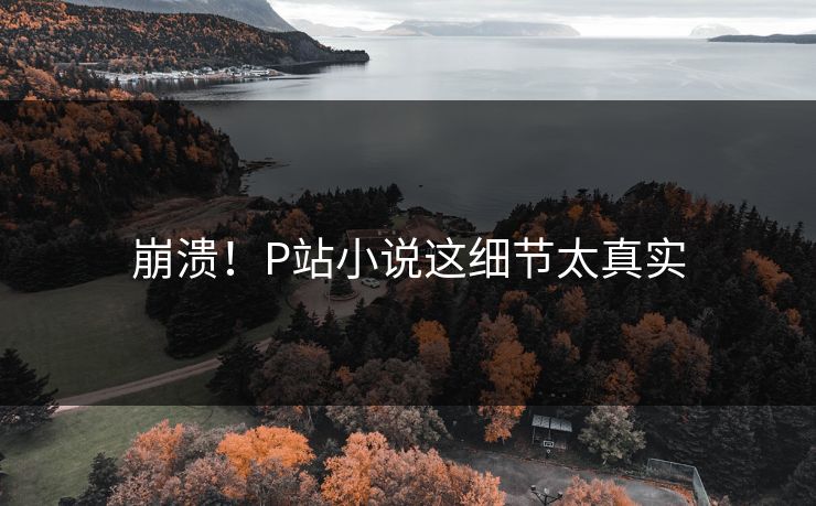 崩溃！P站小说这细节太真实