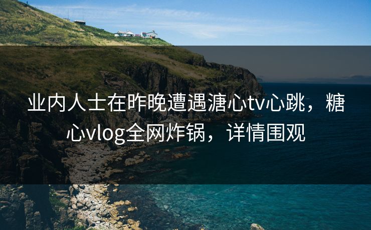 业内人士在昨晚遭遇溏心tv心跳，糖心vlog全网炸锅，详情围观