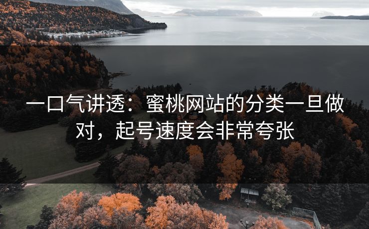 一口气讲透：蜜桃网站的分类一旦做对，起号速度会非常夸张